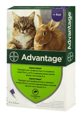 Краплі від бліх Advantage (Адвантейдж) 80 для котів і декоративних кролів вагою понад 4 кг (1 піпетка 0,8 мл) Bayer 8004 фото