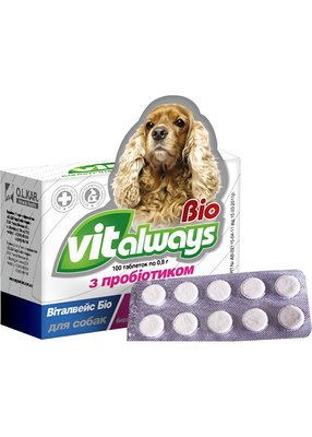 Віталвейс-біо (БАД) з пробіотиком для собак, таблетки №100 блістер 2018 фото