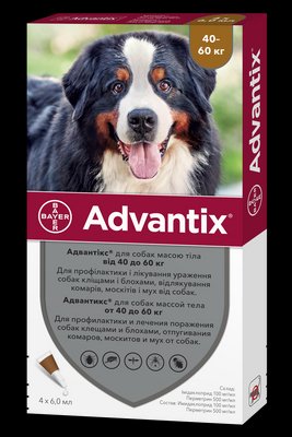 Адвантікс краплі для собак вагою від 40 до 60 кг (4 піпетки по 6.0 мл), BAYER 70013 фото