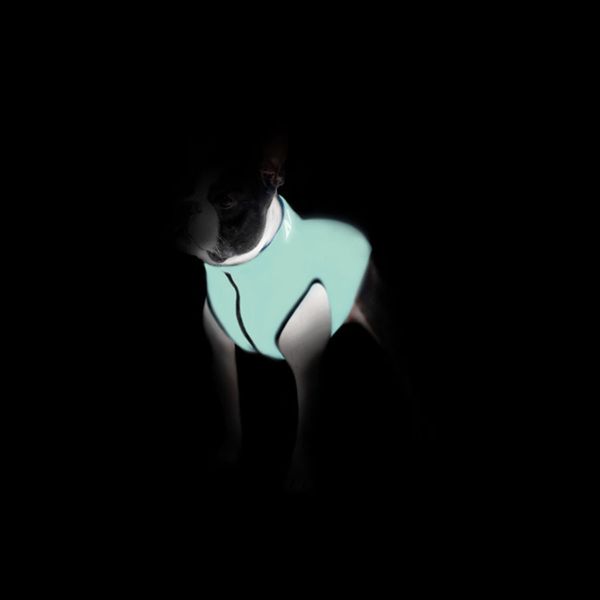 Курточка для собак AiryVest Lumi двостороння, світна, розмір L 55, салатово-блакитна 2088580301 фото