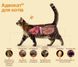 Краплі Адвокат для котів вагою від 4 до 8 кг (0,8 мл 1 піпетка) BAYER 10354 фото 2