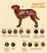 Краплі Адвокат для собак вагою до 4 кг (0,4 мл 1 піпетка) BAYER 10785 фото 2