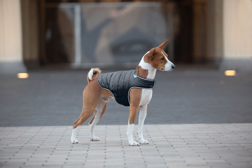 Курточка-накидка для собак AiryVest, L, B 58-70 см, C 42-52 см чорний 15441 фото